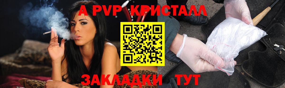 APVP СК КРИС Асино
