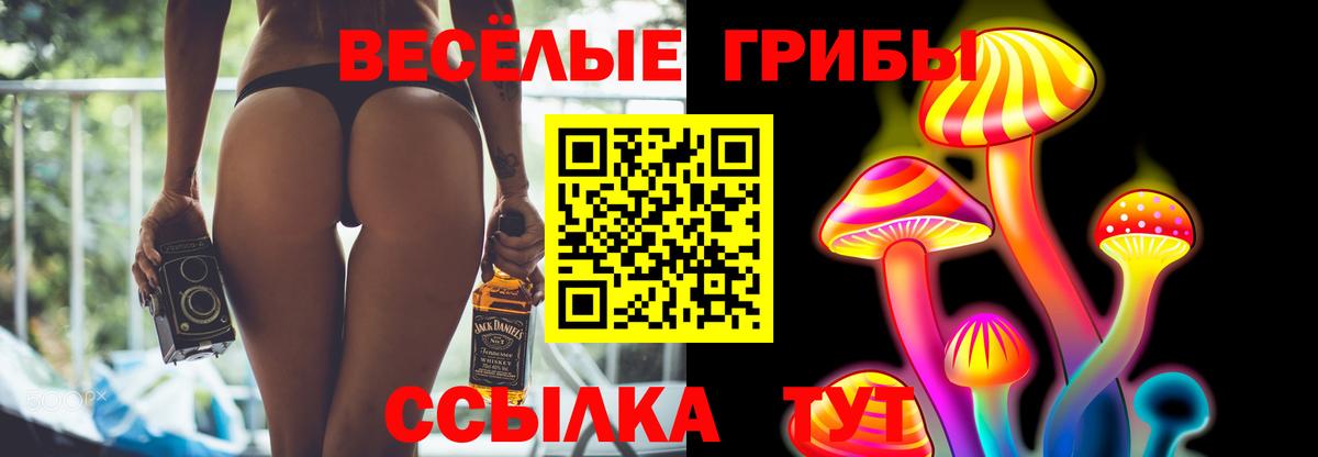 где найти   Вход с VPN  Асино  Псилоцибиновые грибы Magic Shrooms 